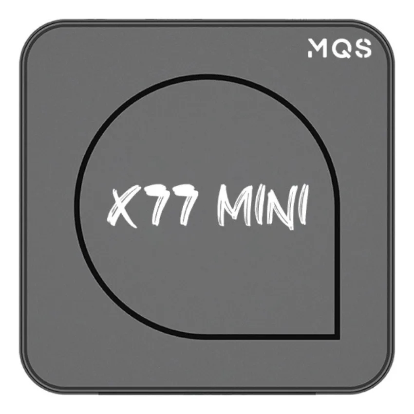 Puertos del X77 Mini